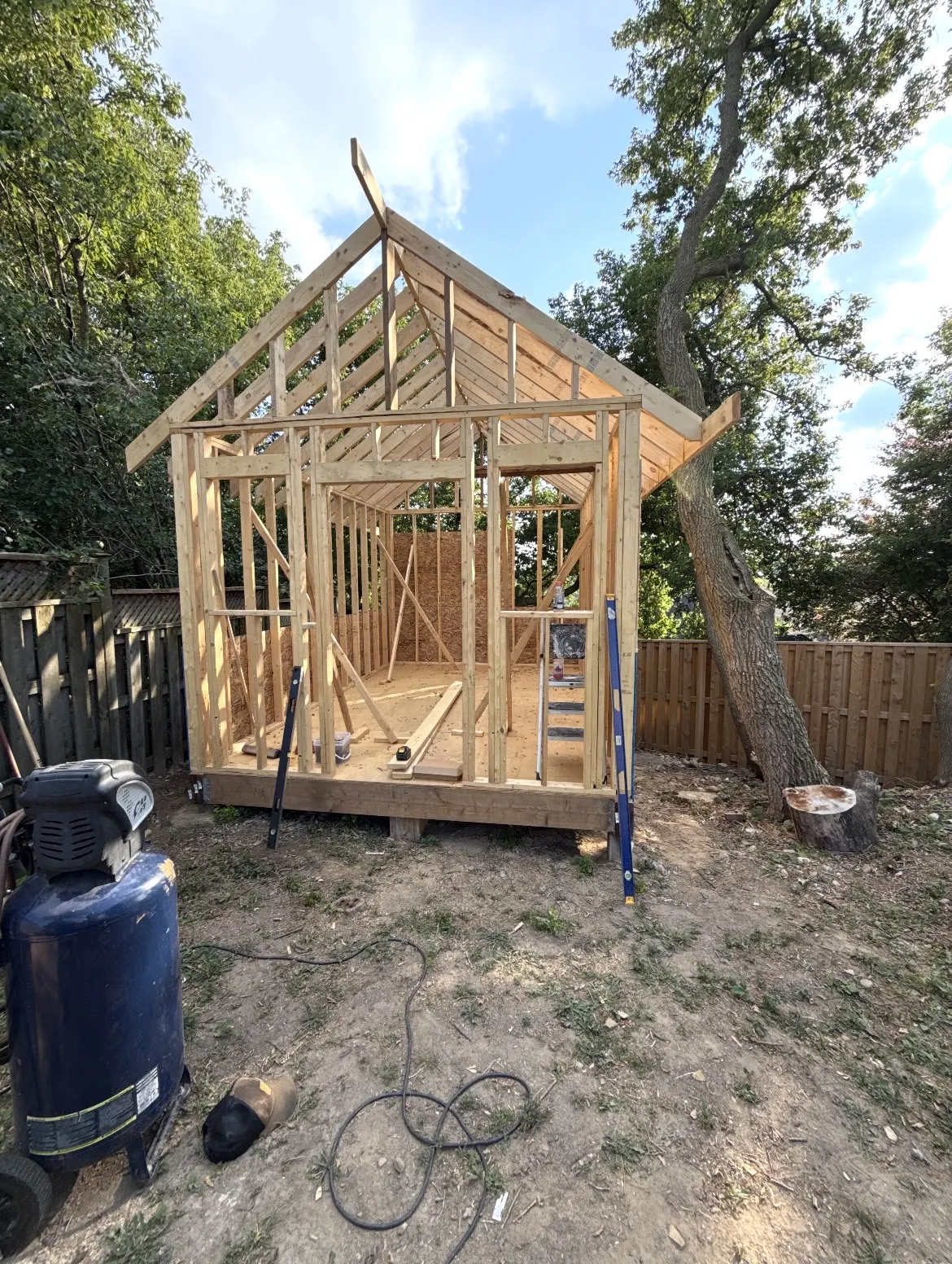 Shed build stage 1 — framing structure with roof trusses