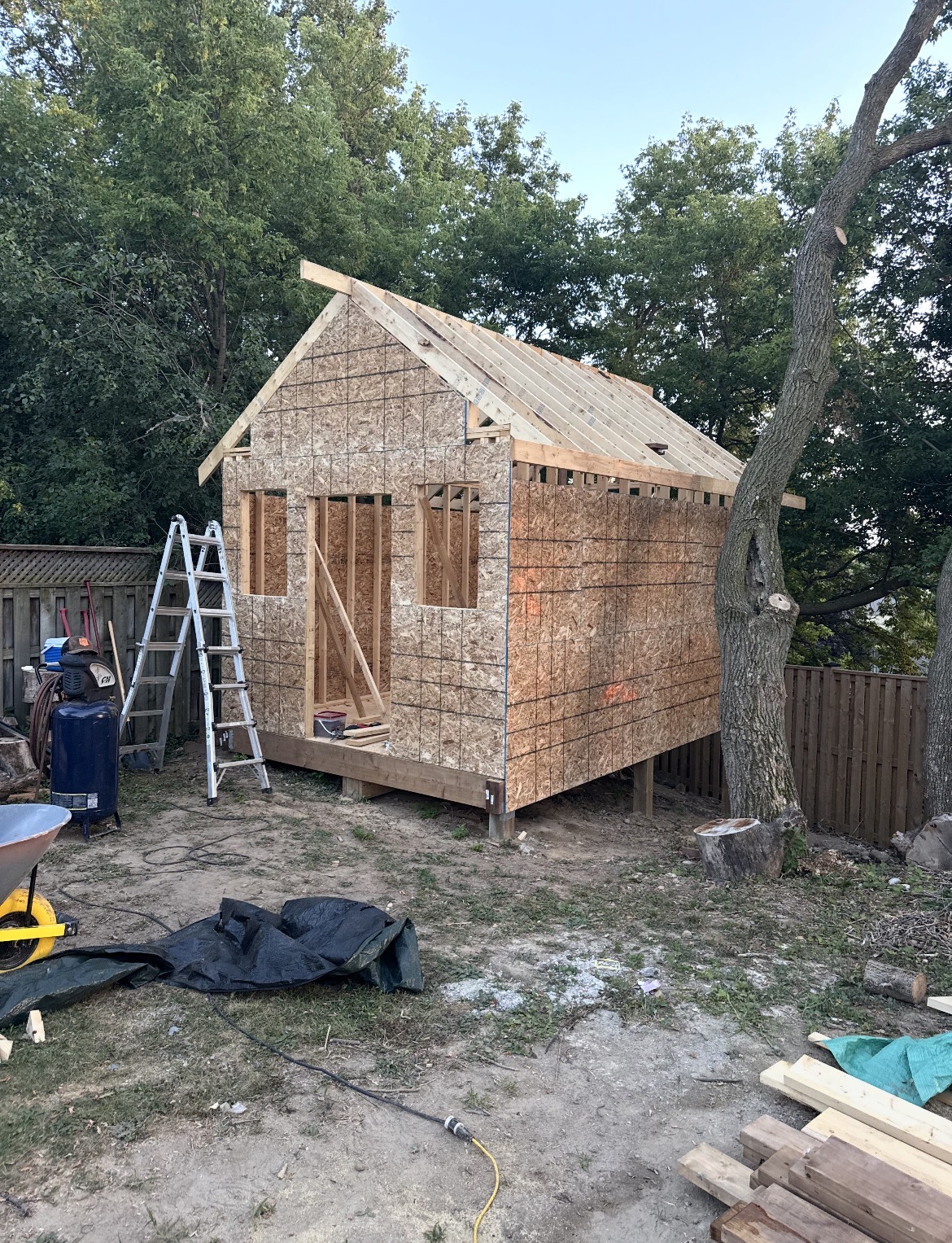 Shed build stage 2 — sheathing and exterior walls going up
