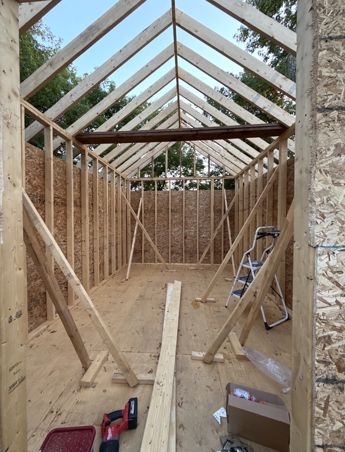 Shed build stage 3 — interior framing and roof structure view